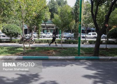 حقیقت قطع درختان چهارباغ بالا، همه فضای سبز اصفهان در خطر است