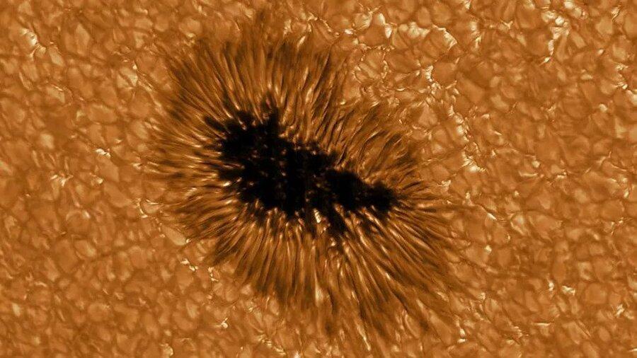 تصویرهای خیره کننده جدید از خورشید ، ساختارهای پاپ کورن مانند در میدان مغناطیسی ستاره ما