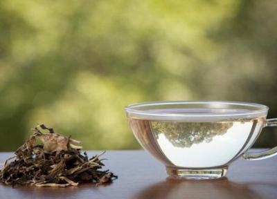 چای سفید چیست و چه خواص بی نظیری دارد؟