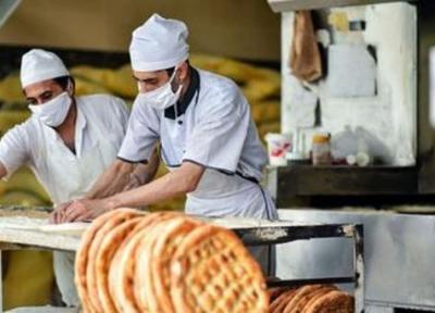 تعطیلی برخی نانوایی ها به دلیل کمبود آرد، گندم های امسال خوراک دام شد
