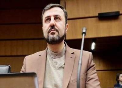 تاکید نماینده ایران در سازمان های بین المللی بر نابودی کامل سلاح های هسته ای