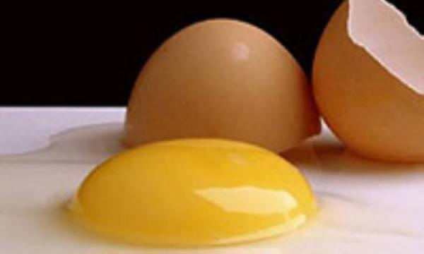 تخم مرغ کپسول مرغوب ترین پروتئین