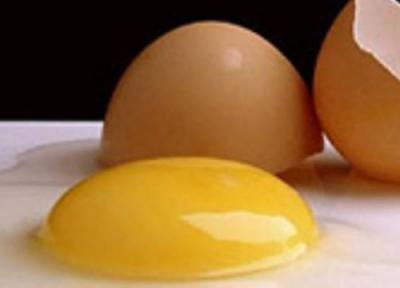 تخم مرغ کپسول مرغوب ترین پروتئین