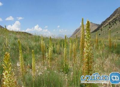 سربند منطقه ای بسیار دیدنی در استان سمنان است